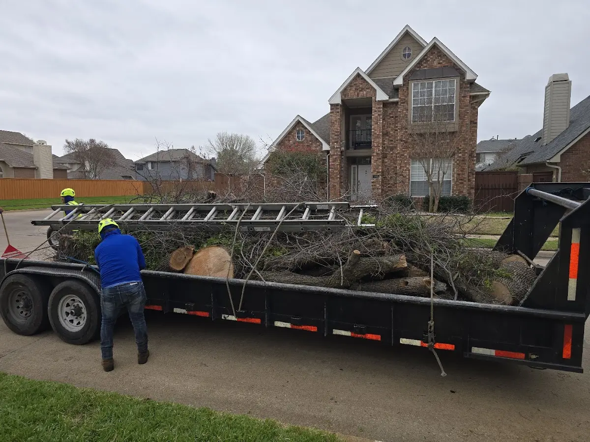 Expert Tree Removal with proper safety equipment in Lookout Mountain